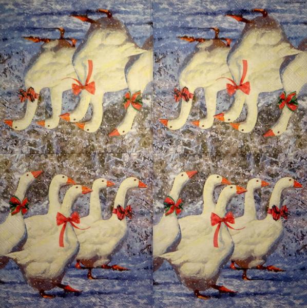 074 Enten - 3-lagig - Ambiente